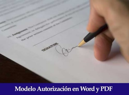 Modelo Autorización Representación Pdf Bono Cultural